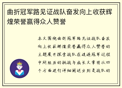 曲折冠军路见证战队奋发向上收获辉煌荣誉赢得众人赞誉