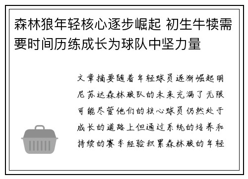 森林狼年轻核心逐步崛起 初生牛犊需要时间历练成长为球队中坚力量